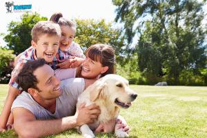Yosemite Pest & Rodent Solutions Primary Brand Image