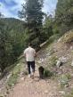 Off Leash K9 Training Colorado Highlights Dog Training Programs for Denver and Colorado Springs Owners
