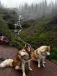 Off Leash K9 Training Colorado Highlights Personalized Dog Training Options for Colorado Dog Owners