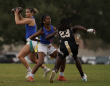 NIRSA Club Flag Football League Launches in Partnership with the NFL