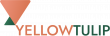 MerakiCap LLC and Yellow Tulip Inc. Establish Strategic Finance Partnership