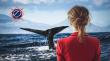Designs Group Consulting Launches Dedicated Marketing & Business Support for Ocean and Marine Mammal Nonprofits