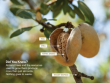 Artefact and Almond Board of California Announce Partnership: A New Era of U.S. Product Manufacturing Powered by Almonds