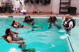 Scuba Divers
