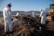 Global Outbreak Solutions Advances Remote Monitoring as a Standard in Mortality Management and Outbreak Response