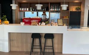 Koris Solid Surface Countertop