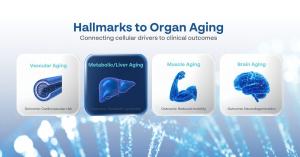 Longevity experts discussing strategies to extend healthspan at Practical Anti-Aging Symposium 2026