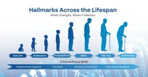 Physician presenting healthspan-focused longevity strategies and cellular optimization concepts