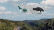 FlyBIS  e Grupo Sirena firmam Memorando para desenvolver Mobilidade Aérea Avançada no empreendimento Sirena Gramado.