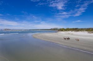 People horseback riding on a beautiful, undeveloped barrier island in North Myrtle Beach, SC
