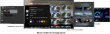 New versions of Pevac Video for Google Drive, Dropbox, and Discrete Pevac Video Drive are Now Available