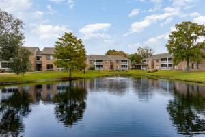 Image of View Overlooking Pond at Clear Run