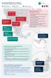 ICAIE Releases New Infographic: The Growing Threat Posed By Illicit Trade of Counterfeit Medicines in Mexico