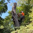 Pittsburgh Tree Company Urges Preventive Care as Storm Damage Leaves Hidden Tree Risks