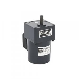 MICRO-AC-GEAR-MOTOR