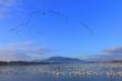 Visit Japan: Niigata and its Historical Wetland Heritage Recognized by Ramsar Convention
