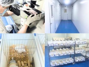 Figure 1 Cloud-Clone SPF-grade experimental animal facility