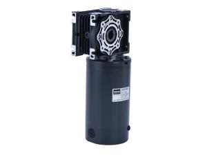 WORM DC BRUSHED GEAR MOTOR