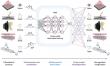 From touch to vision: A bioinspired multisensory framework brings human-like perception to robots