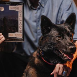 A photograph showing Rossdale's large black dog, Kaya, alongside a copy of Paul Auster's Moon Palace.