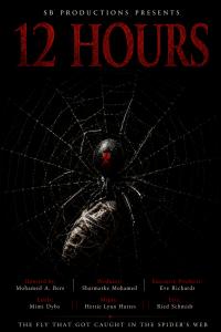 24851550 movie poster 12 hours