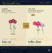 Why Indians are Paying 5x to 10x More for Mother's Day Blooms Than a Decade Ago