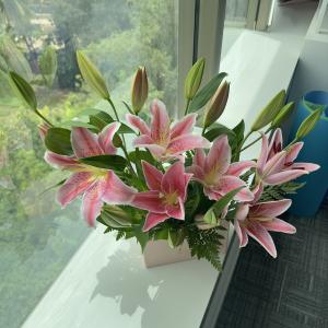 Pink oriental lily flowers arranged in a white vase near a window with natural sunlight.