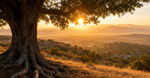 Mature tree with deep roots overlooking Moreno Valley hills symbolizing estate planning legacy protection and family security