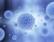 Stem Cell Assay Market Growing at 14.8% CAGR Through 2033 | Persistence Market Research