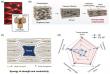 Strong graphene bulk composites with high thermal conductivity 