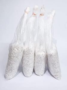 Multiple oyster mushroom spawn bags filled with inoculated substrate material prepared for mushroom cultivation.