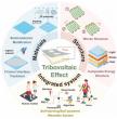 Recent advancements in the tribovoltaic effect for human motion energy harvesting and wearable self-powered sensing