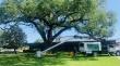 Hub City Tree & Preservation Launches ‘Lafayette Storm Shield Program’ to Protect Community During Hurricane Season