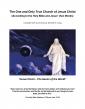 New Book Merges Ancient and Modern Scripture plus Revelation to Explore Divine Continuity