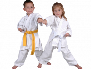 Karate for Kids Punch