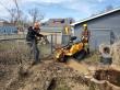 Sure Wood Tree Service Reports Increased Demand for Professional Stump Grinding in Residential Areas