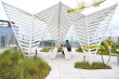 SPRING TAKES ROOT ABOVE THE CITY AT DOWNTOWN HOUSTON’S NORTON ROSE FULBRIGHT TOWER