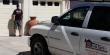 Experts Warn Rising Summer Temperatures Are Causing More Garage Door Failures