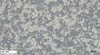 Reducing animal suffering in cancer research with FBS-free cell culture models
