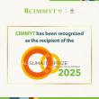 CIMMYT Receives 2025 Al-Sumait Prize for African Development, Recognizing Decades of Science for Food Security