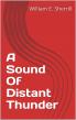 A Sound of Distant Thunder Brings the Final Year of the Civil War to Life Through One Family’s Struggle
