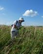 NAPPC Grants More Than $94,000 to Advance Cutting-Edge Pollinator Research