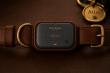 PawPulse Announces Atlas: First Smart Dog Collar to Monitor Health, Track Location, and Treat Anxiety in One System