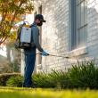 Zap Pests Fast: Stomp Pest Control Unveils New Website