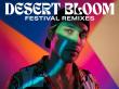 Rainbow Hill The Band Drops Desert Bloom A Remix Album Celebrating Fan Favorites From The 'Brick by Brick' Saga