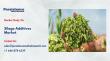 Silage Additives Market US$3.4 bn to 4.9 bn 2026-2033 Driven by Dairy Demand