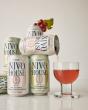 Suntory Global Spirits Launches Nivo House, a Sommelier-Crafted Non-Alcoholic Sparkling Beverage in Washington
