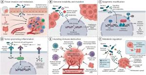 The role of intratumoral microbiota in the development of cancer