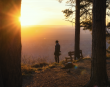 GRAND CANYON NORTH RIM REOPENS TO VISITORS