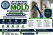 Certified Home Inspection and Mold Remediation Services Now Available in Pompano Beach, FL